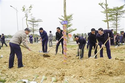 Thanh Hóa: Phát động “Tết trồng cây đời đời nhớ ơn Bác Hồ” Xuân Ất Tỵ 2025
