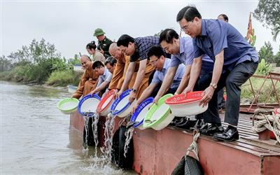 Thanh Hóa: Thả cá giống tái tạo và phát triển nguồn lợi thủy sản