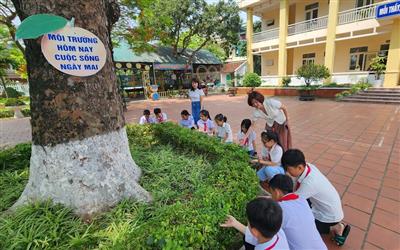 Thanh Hóa: Trường Tiểu học Nga Thạch nuôi dưỡng và rèn luyện ý thức bảo vệ môi trường