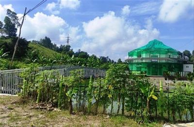 Thanh Hóa xử lý hàng loạt sai phạm trên đất nông nghiệp