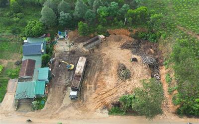 Thanh Hóa: Xử lý nghiêm vi phạm tại các điểm thu mua gỗ rừng tự phát