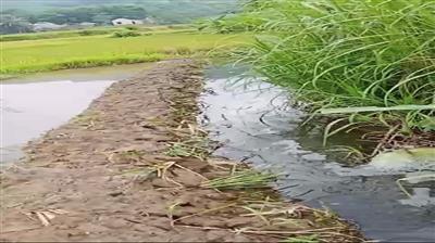 Thanh Hóa: Xử phạt Công ty KP Phúc Thịnh 150 triệu đồng do vi phạm về môi trường