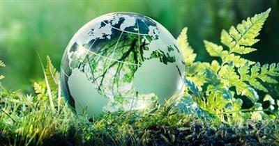 Thành lập Ban tổ chức Hội nghị thượng đỉnh Diễn đàn Đối tác vì Tăng trưởng xanh và Mục tiêu toàn cầu