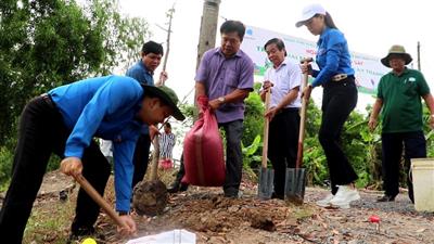 Thanh niên tỉnh Đồng Tháp trồng 'Hàng cây thanh niên' nhân Ngày Chủ nhật xanh