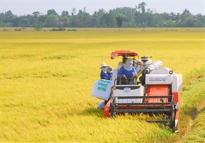 Thời hạn sử dụng đất nông nghiệp mới nhất