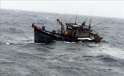 Thời tiết ngày 10/12: Gió mạnh, sóng lớn trên Biển Đông