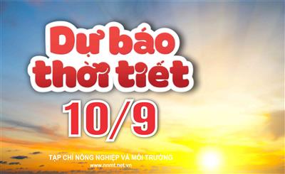 Thời tiết ngày 10/9: Nhiều khu vực trên cả nước mưa to đến rất to