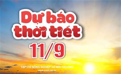 Thời tiết ngày 11/9: Bắc Bộ ngày nắng gián đoạn, Nam Bộ chiều tối mưa dông