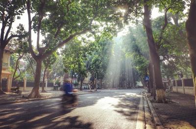 Thời tiết ngày 15/11: Bắc Bộ có mưa vài nơi, trời se lạnh. Tây Nguyên và Nam Bộ có mưa rào và dông