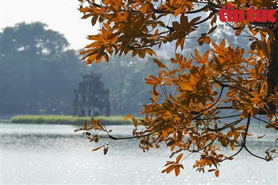 Thời tiết ngày 15/5: Bắc Bộ có mưa vài nơi, trưa chiều trời nắng