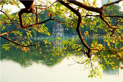 Thời tiết ngày 17/11: Cả 3 miền nắng nhẹ, miền Nam có mưa rào và dông