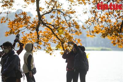 Thời tiết ngày 18/2: Không khí lạnh gây mưa rào và dông ở Bắc Bộ và Bắc Trung Bộ