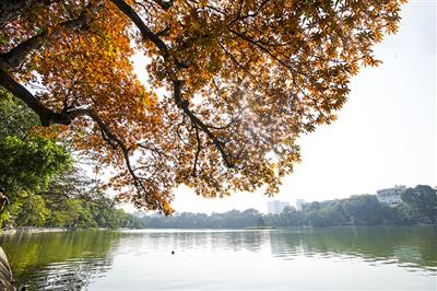 Thời tiết ngày 2/5: Bắc Bộ, Bắc Trung Bộ ngày nắng, chiều tối có mưa dông