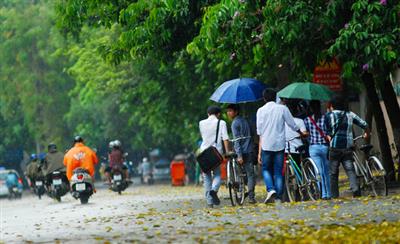 Thời tiết ngày 2/8: Bắc Bộ và Trung Bộ rải rác có mưa, Tây Nguyên và Nam Bộ chiều tối và đêm mưa dông