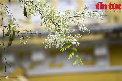 Thời tiết ngày 21/2: Bắc Bộ và Trung Bộ trời nắng, nhiệt độ tăng