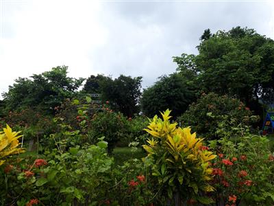 Thời tiết ngày 27/8: Bắc Bộ giảm mưa, ngày nắng; Tây Nguyên và Nam Bộ chiều tối có mưa dông