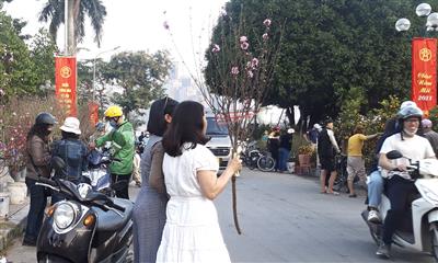 Thời tiết ngày 28/1: Vùng núi cao có nơi dưới 3 độ C