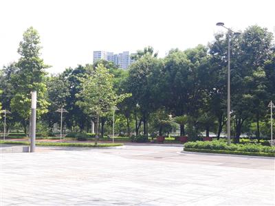 Thời tiết ngày 28/8: Bắc Bộ, Trung Bộ tăng nhiệt, nhiều nơi nắng nóng; Tây Nguyên và Nam Bộ có mưa dông