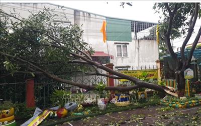 Thời tiết ngày 30/4: Vùng núi Bắc Bộ, Bắc Trung Bộ có mưa dông