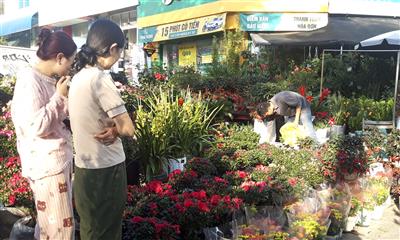 Thời tiết ngày 30 Tết: Cả nước không mưa, Bắc Bộ trời rét