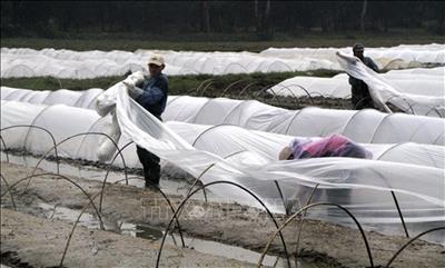 Thời tiết ngày 4/1: Từ Quảng Bình đến Khánh Hòa cục bộ có mưa to