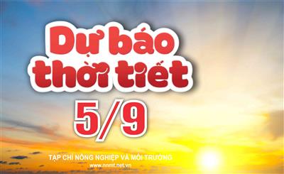 Thời tiết ngày 5/9: Hà Nội nắng gắt, TP. Hồ Chí Minh chiều tối cục bộ mưa to