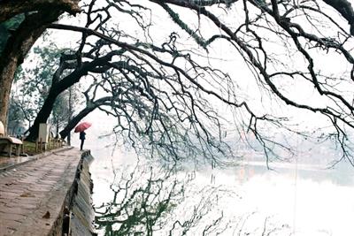 Thời tiết ngày 7/12: Miền Bắc tiếp tục rét đậm, miền Trung mưa lớn, miền Nam mưa rào và dông