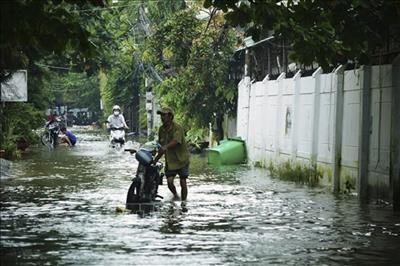 Thời tiết ngày 9/5: Nhiều nơi ở Nam Trung Bộ, Tây Nguyên và Nam Bộ có mưa to