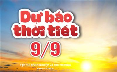 Thời tiết ngày 9/9: Miền Bắc chiều tối cục bộ có nơi mưa rất to