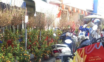 Thời tiết ngày mùng 1 Tết: Bắc Bộ có mưa nhỏ vài nơi, Trung Bộ, Nam Bộ trời nắng