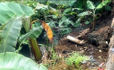 Thôn Làng Bông, xã Xuân Quang người dân bức xúc vì chịu ảnh hưởng của ô nhiễm do chăn nuôi