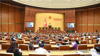 Thông cáo báo chí số 29, Kỳ họp thứ 8, Quốc hội khóa XV