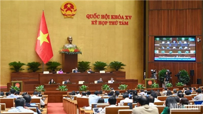 Thông cáo báo chí số 5, Kỳ họp thứ 8, Quốc hội khóa XV