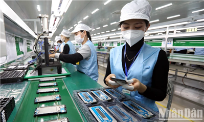 Thu hồi đất đối với các dự án chây ỳ nợ thuế