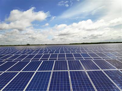 UBND tỉnh Long An: Thu hồi hơn 13.200 m2 đất của Công ty Cổ phần Năng lượng BCG