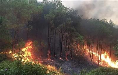 Thủ tướng chỉ đạo quyết liệt triển khai các biện pháp phòng cháy, chữa cháy rừng trên phạm vi cả nước