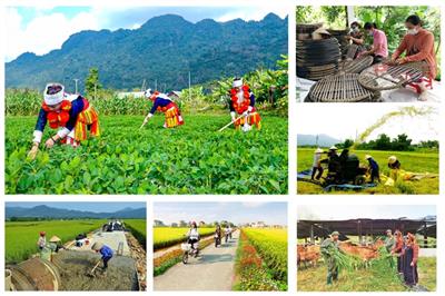 Thủ tướng Chính phủ đôn đốc triển khai quyết liệt các chương trình mục tiêu quốc gia