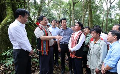 Thủ tướng: Đẩy mạnh liên kết, phát huy vai trò người dân trong sản xuất, chế biến sâm Ngọc Linh