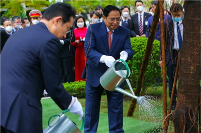 Thủ tướng Phạm Minh Chính và Thủ tướng Kishida Fumio cùng trồng cây lưu niệm