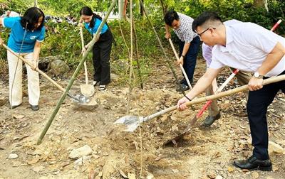 Thừa Thiên - Huế: Những “Điểm xanh văn hóa” đã xanh