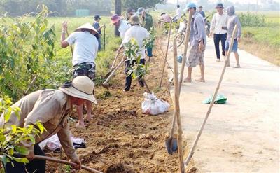 Thừa Thiên - Huế: Nông dân Quảng Thọ thích ứng với biến đổi khí hậu