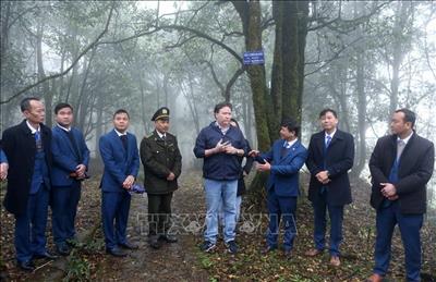 Thúc đẩy bảo vệ đa dạng sinh học của Việt Nam