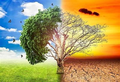 Thực hiện các hiệp định và thoả thuận quốc tế về biến đổi khí hậu