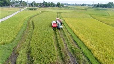 Thực trạng sản xuất nông nghiệp và ứng dụng công nghệ vào sản xuất nông nghiệp vùng Bắc Trung bộ
