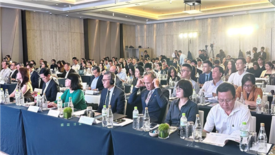 Tìm giải pháp đẩy mạnh nền kinh tế Net Zero