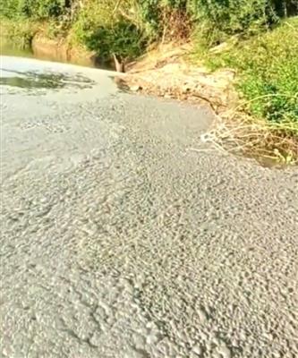 Tìm ra nguyên nhân khiến mặt nước Sông Bé trông như lớp bê tông đông cứng