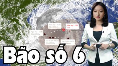 Tin bão khẩn cấp: Cơn bão số 6
