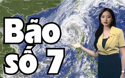 Tin bão trên Biển Đông: Cơn bão số 7