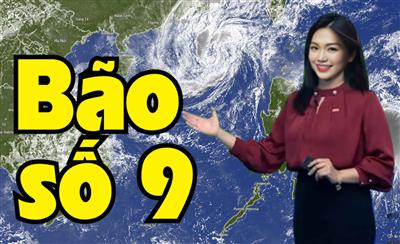 Tin bão trên biển Đông: Cơn bão số 9