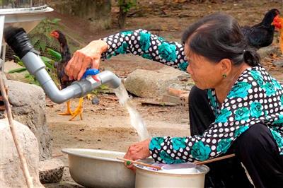 Tín dụng cấp nước sạch và vệ sinh môi trường nông thôn: Mức cho vay tối đa 25 triệu đồng